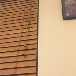 Meet your Posher, Shane